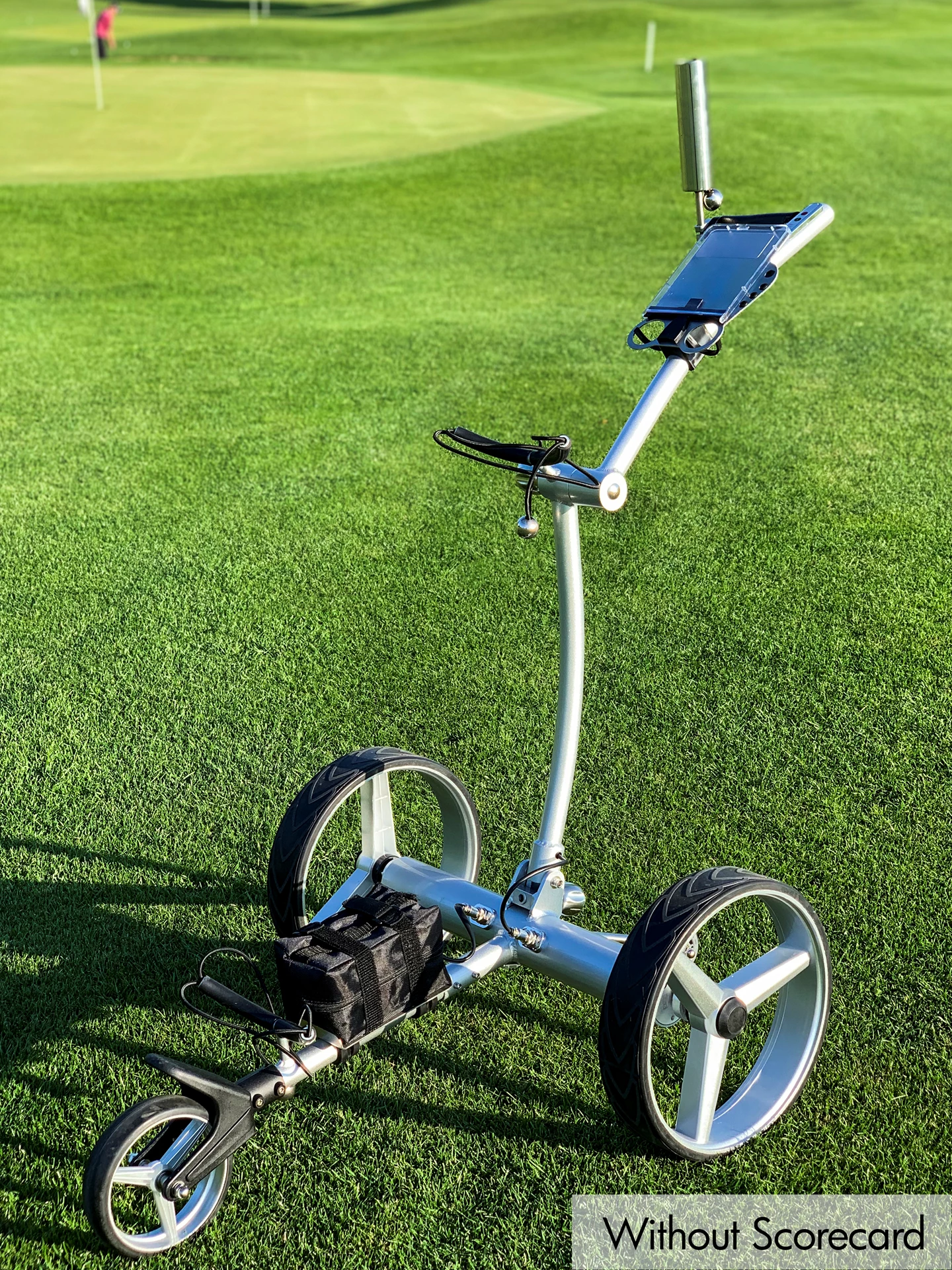 Elektrischer Golfwagen inkl. Fernbedienung