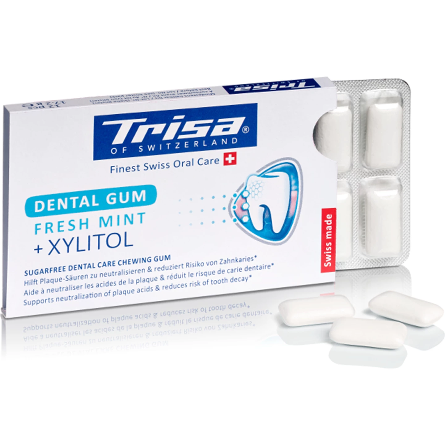 Gomme à mâcher Dental Gum Fresh Mint