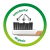 Toothbrush Natural Clean medium