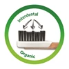 Toothbrush Natural Clean Young soft