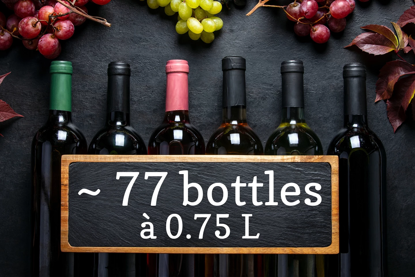 Cave à vin climatisée 191 L avec dual zone