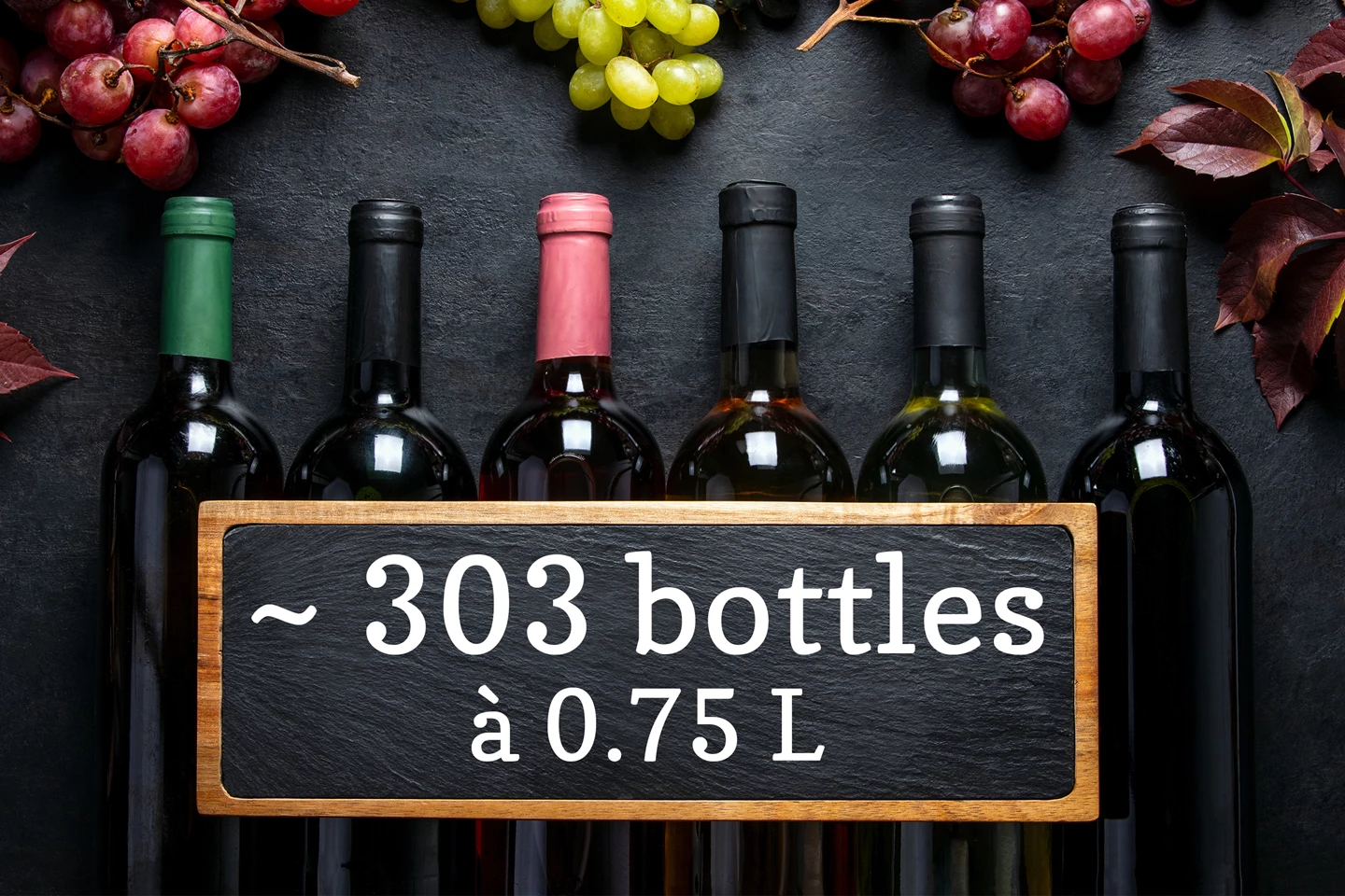 Cantina climatizzata per vino 642L