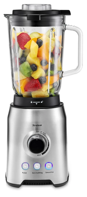 Standmixer 