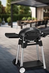 Electric grill Grill Force 2200