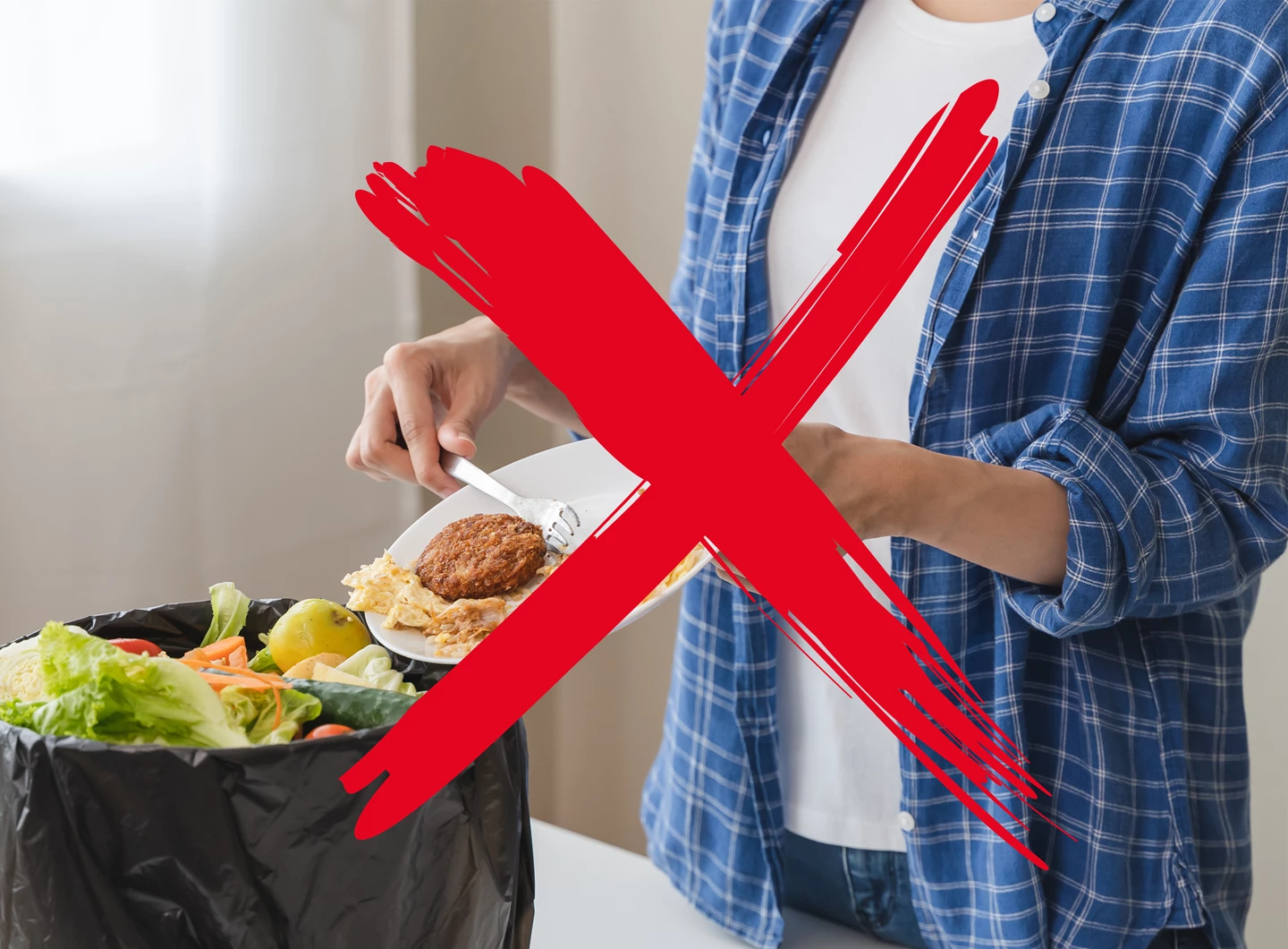 Appareil à vide Vac & Seal